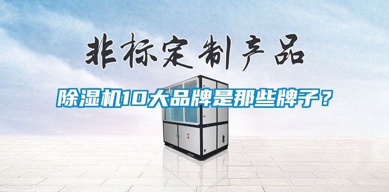 除濕機10大品牌是那些牌子？