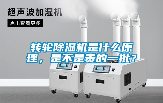 轉(zhuǎn)輪除濕機(jī)是什么原理，是不是貴的一批？