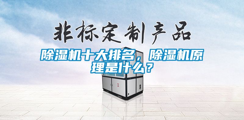 除濕機(jī)十大排名，除濕機(jī)原理是什么？