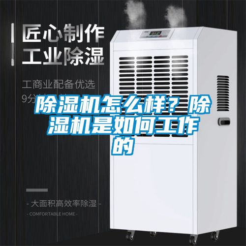 除濕機怎么樣？除濕機是如何工作的