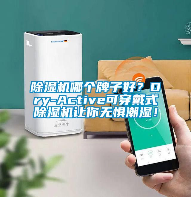 除濕機哪個牌子好？Dry-Active可穿戴式除濕機讓你無懼潮濕！