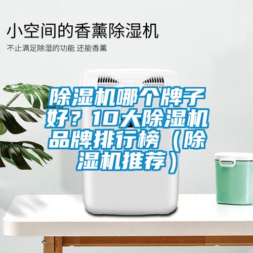 除濕機哪個牌子好？10大除濕機品牌排行榜（除濕機推薦）