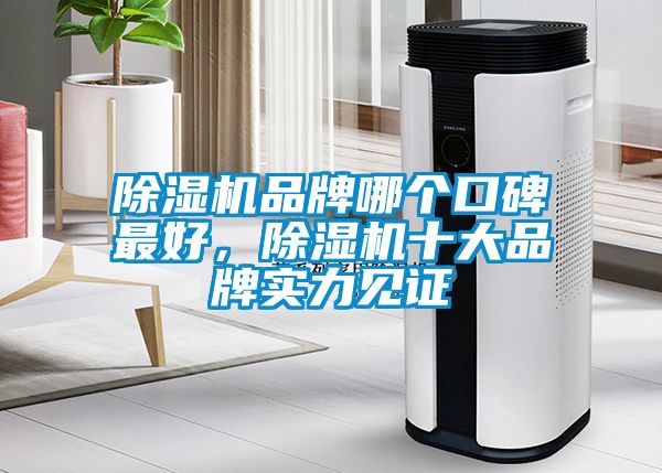 除濕機(jī)品牌哪個(gè)口碑最好，除濕機(jī)十大品牌實(shí)力見(jiàn)證