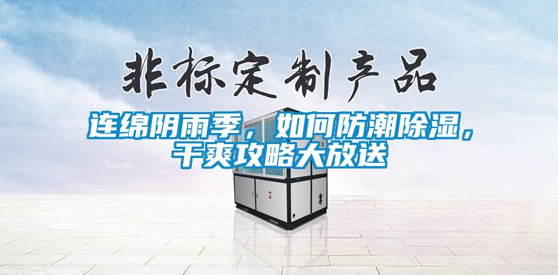 連綿陰雨季，如何防潮除濕，干爽攻略大放送