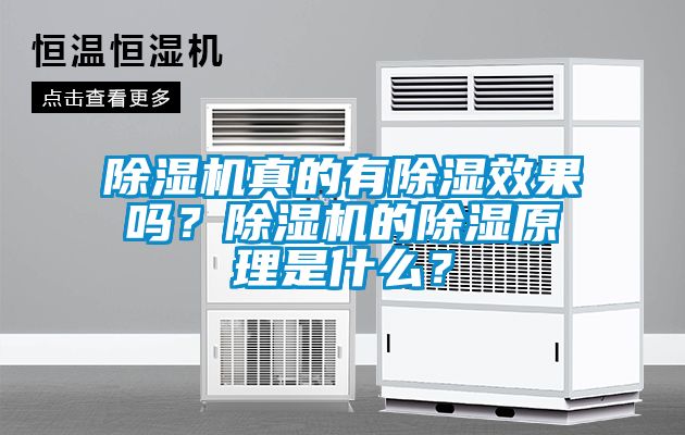 除濕機真的有除濕效果嗎？除濕機的除濕原理是什么？