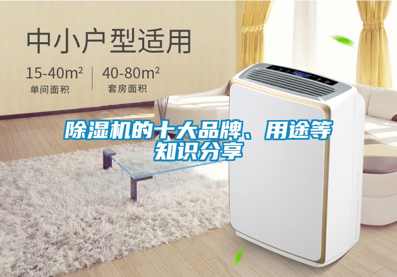 除濕機的十大品牌、用途等知識分享