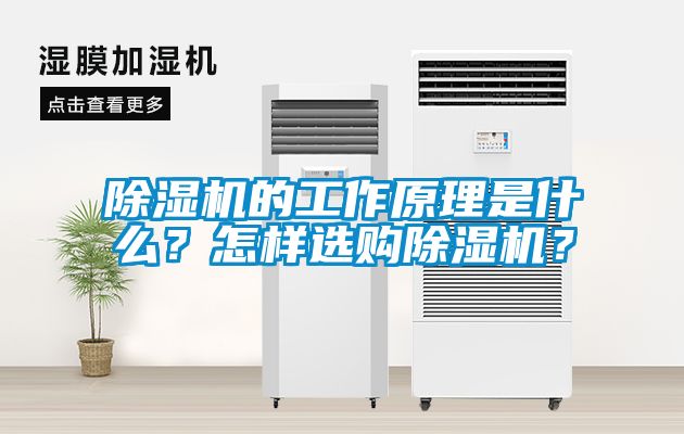 除濕機(jī)的工作原理是什么？怎樣選購除濕機(jī)？