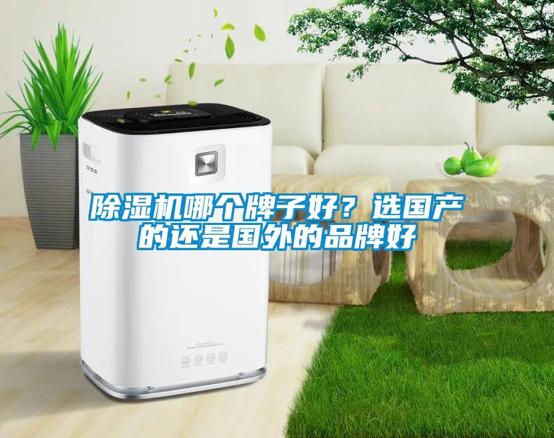 除濕機哪個牌子好？選國產(chǎn)的還是國外的品牌好