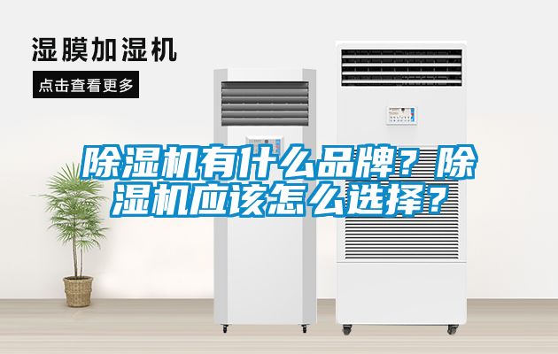 除濕機(jī)有什么品牌？除濕機(jī)應(yīng)該怎么選擇？