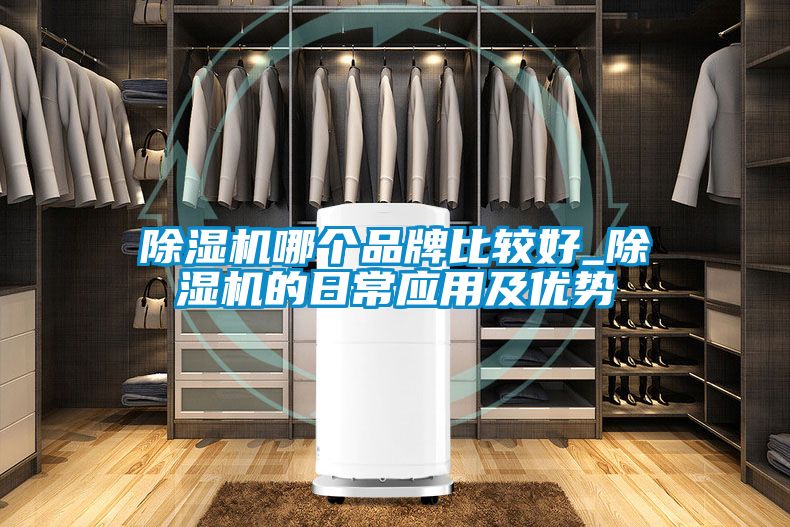 除濕機哪個品牌比較好_除濕機的日常應(yīng)用及優(yōu)勢