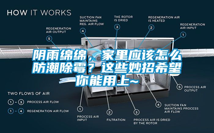 陰雨綿綿，家里應該怎么防潮除霉？這些妙招希望你能用上~