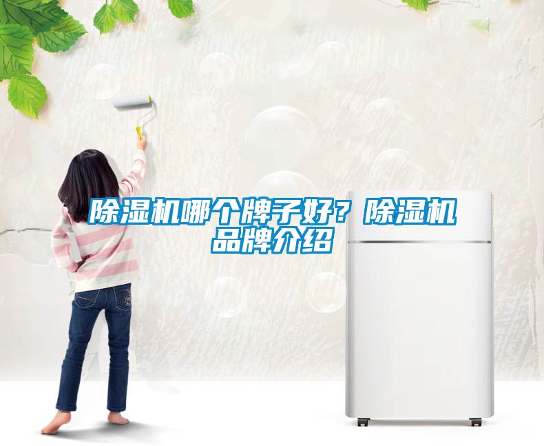 除濕機哪個牌子好？除濕機品牌介紹