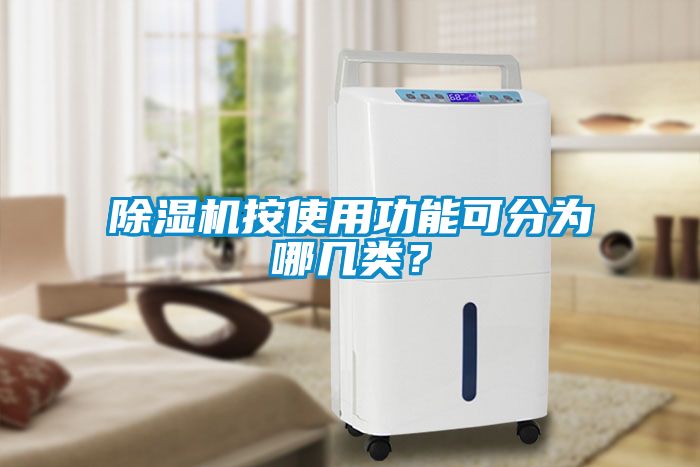 除濕機按使用功能可分為哪幾類？