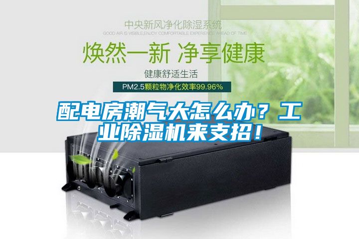 配電房潮氣大怎么辦？工業(yè)除濕機來支招！