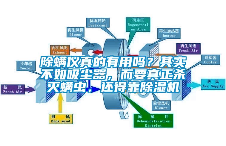 除螨儀真的有用嗎？其實不如吸塵器，而要真正殺滅螨蟲，還得靠除濕機(jī)